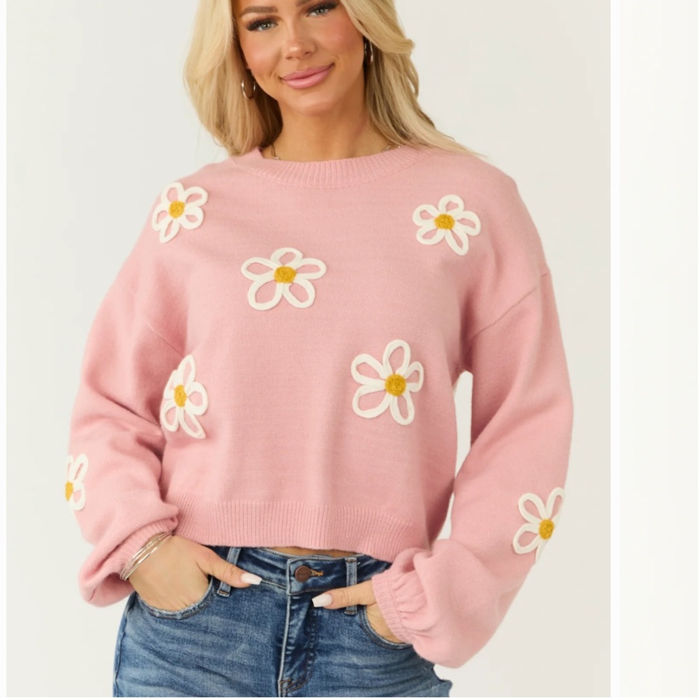Forever 21 Pink Flower Embroidered Sweater